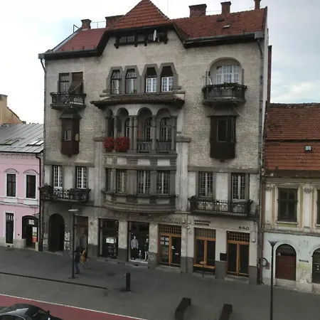 Central View Apartment